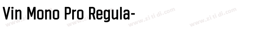 Vin Mono Pro Regula字体转换